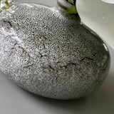 Hellebore and Angelica in a Grey Mottled Vase RTfact Flowers 
