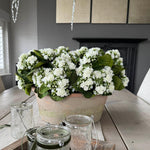 Kalanchoe Bell in a Clay Bowl RTfact Flowers 
