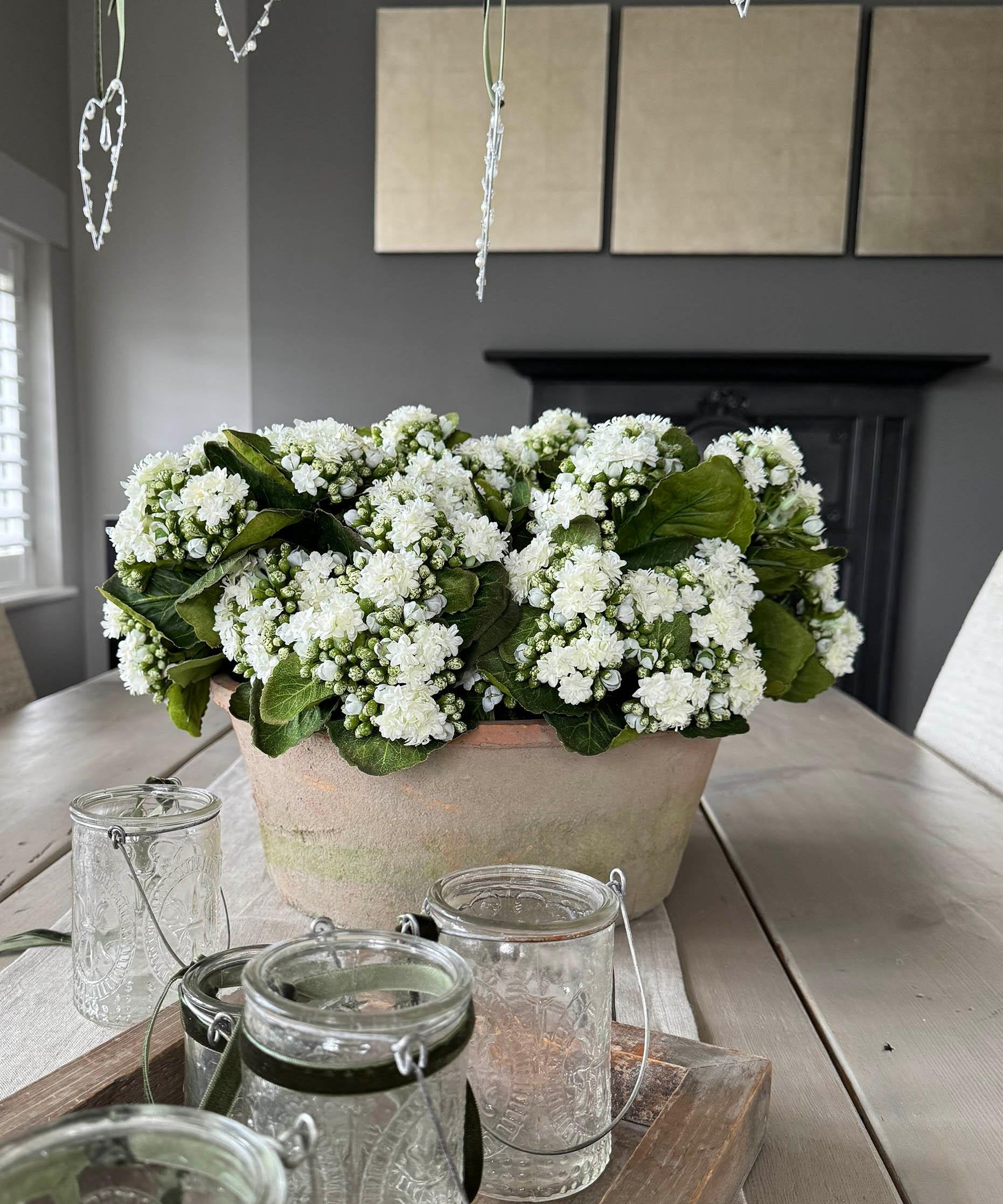 Kalanchoe Bell in a Clay Bowl RTfact Flowers 