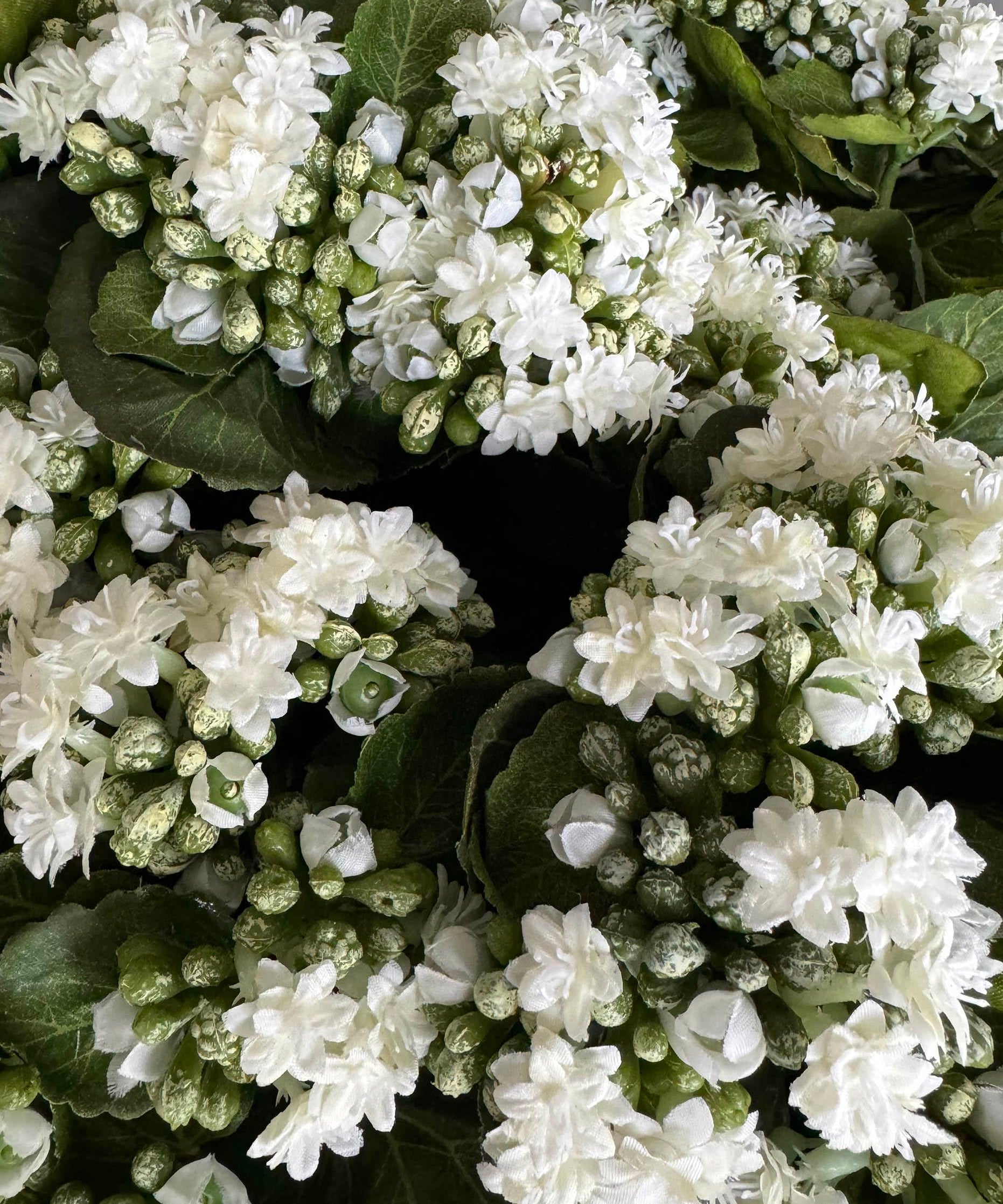 Kalanchoe Bell in a Clay Bowl RTfact Flowers 