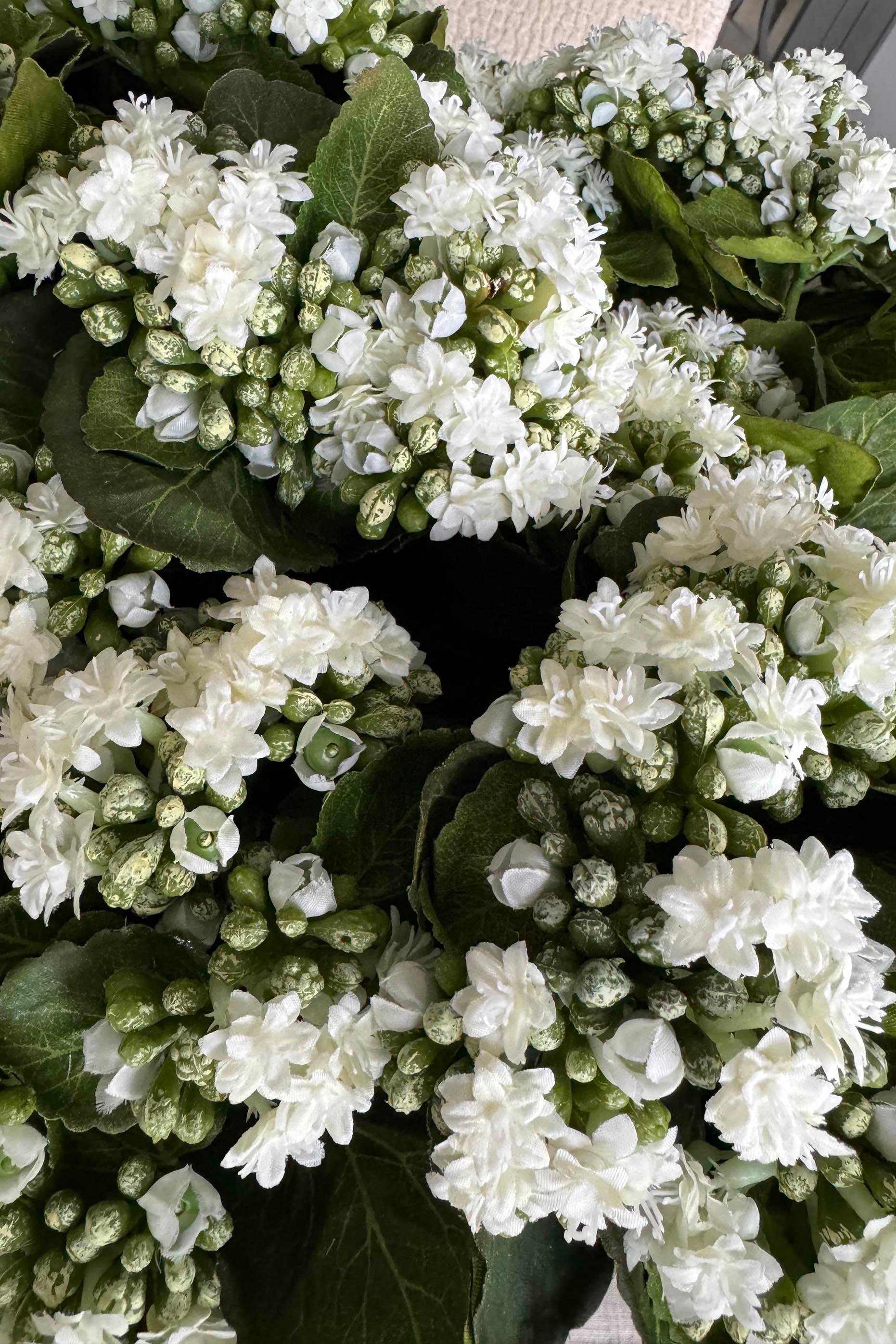 Kalanchoe Bell in a Clay Bowl RTfact Flowers 