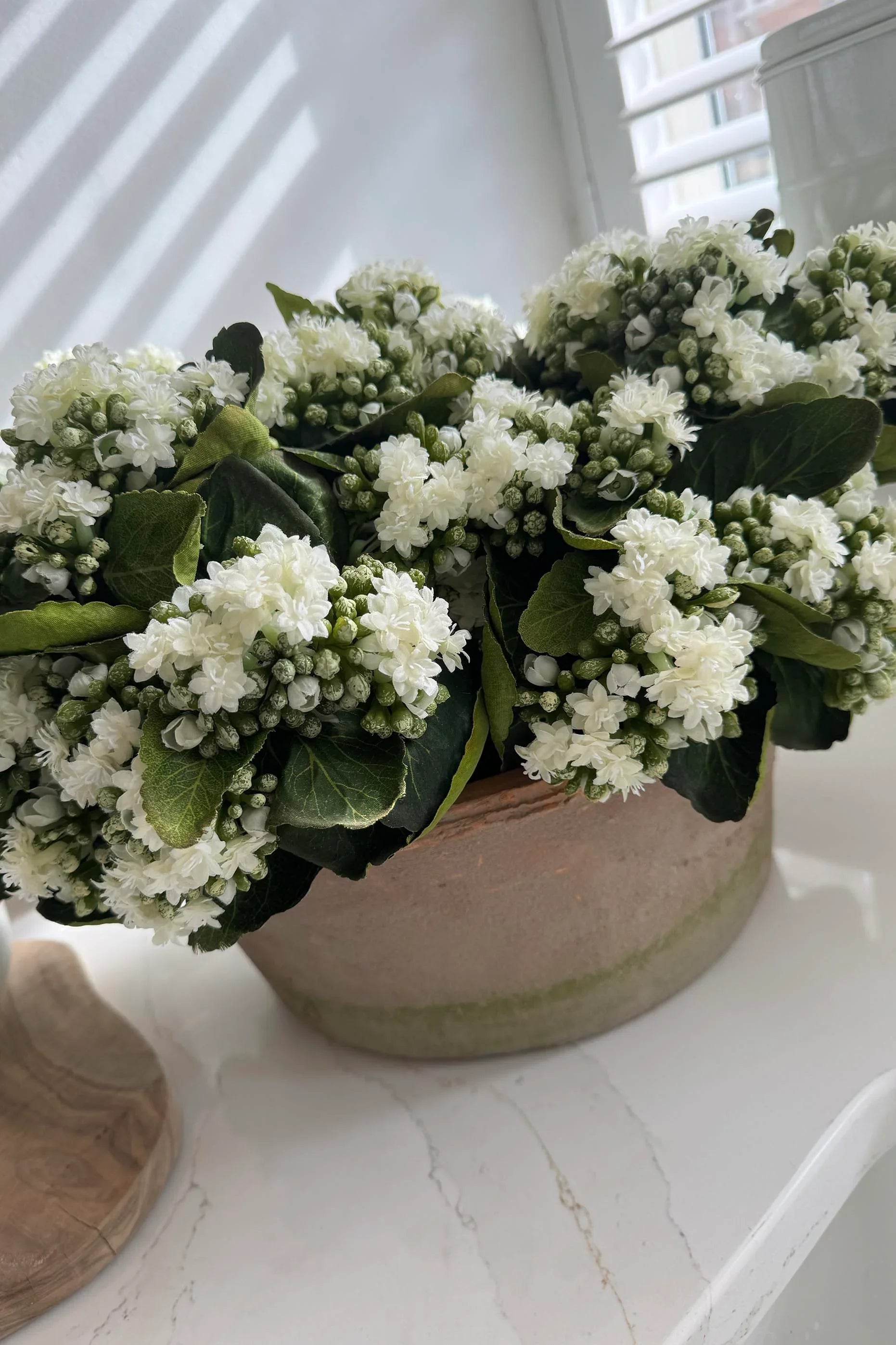 Kalanchoe Bell in a Clay Bowl RTfact Flowers 