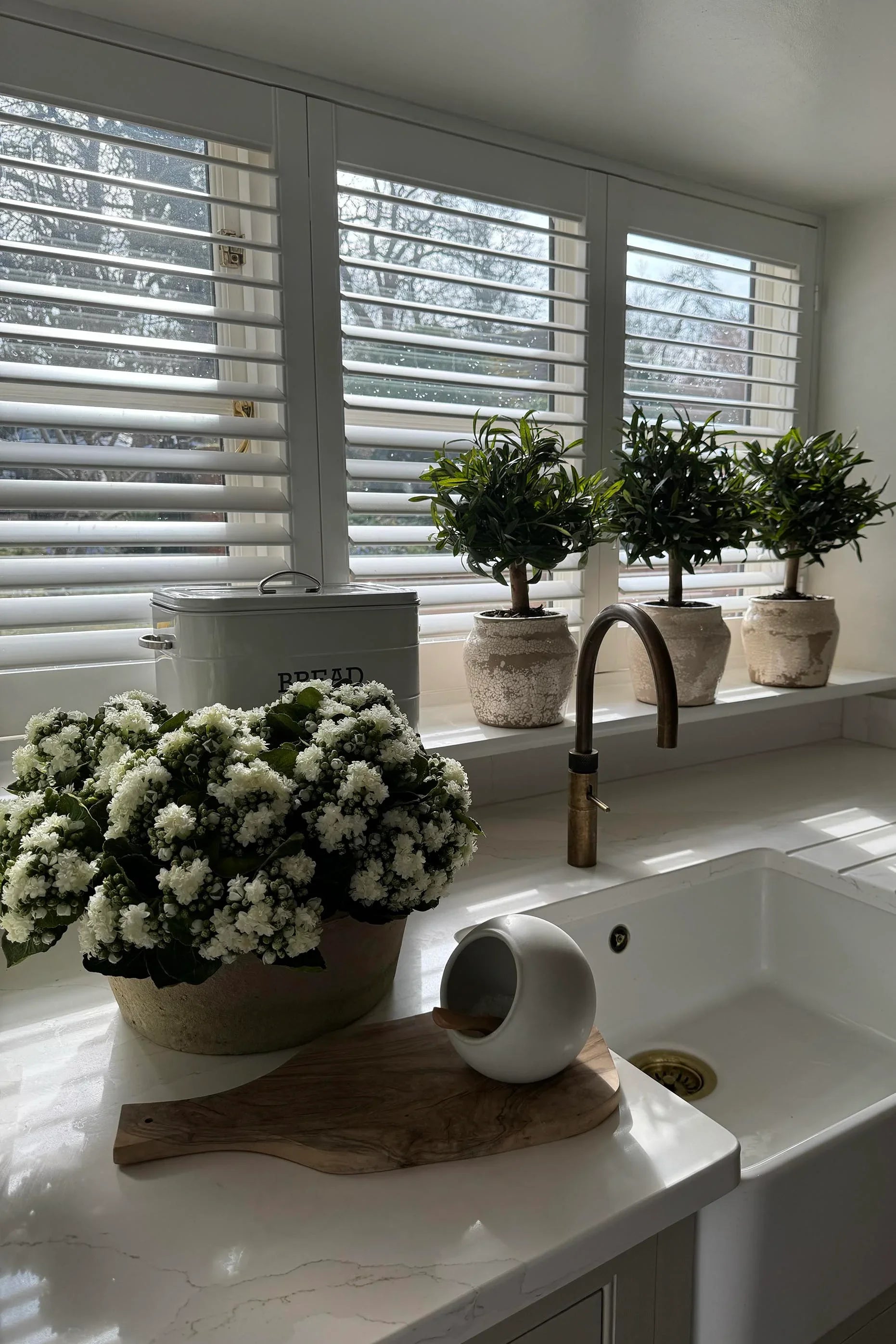 Kalanchoe Bell in a Clay Bowl RTfact Flowers 