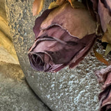 Roses (Champagne) in a Hand Painted Stone Boat RTfact Flowers 