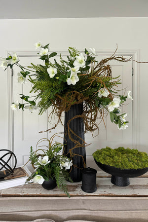 Hellebore, Ferns and Mossy Twig in a Black Ridged Vase