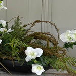 Hellebore, Ferns and Mossy Twig in a Black Bowl RTfact Flowers 