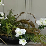 Hellebore, Ferns and Mossy Twig in a Black Bowl RTfact Flowers 