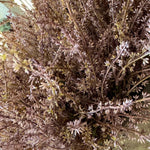 Heather in a Clay Pot RTfact Flowers 