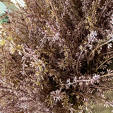 Heather in a Clay Pot RTfact Flowers 