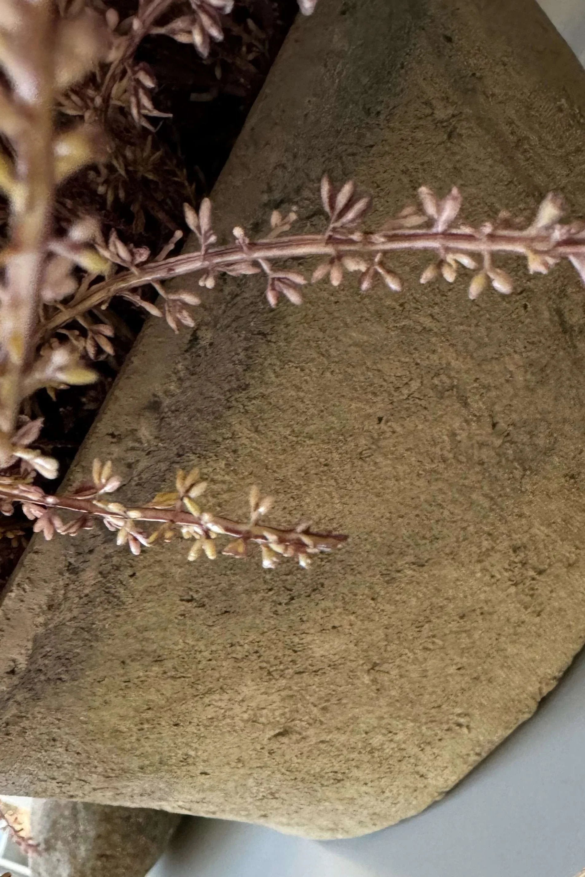 Heather in a Clay Pot RTfact Flowers 