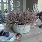 Heather in a Clay Pot RTfact Flowers 