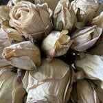 Roses in a Ribbed Glass Vase (Champagne) RTfact Flowers 