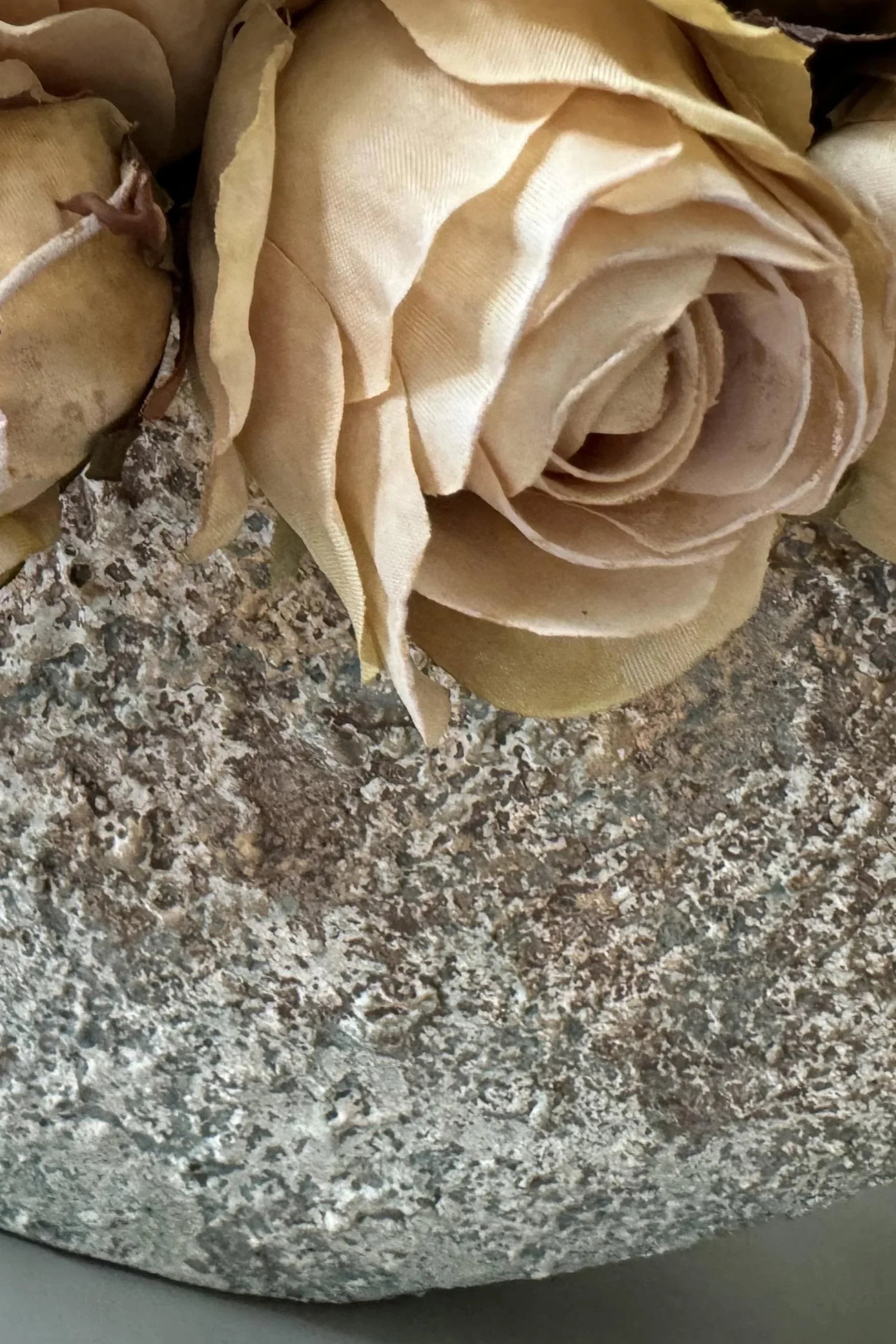 Roses (Champagne) in a Hand Painted Stone Boat RTfact Flowers 