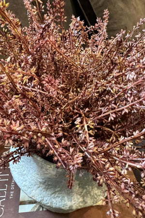 Heather in a Glazed Stone Pot