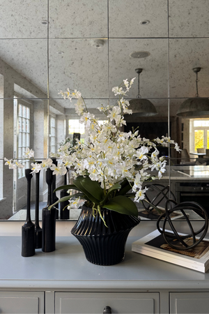 Dancing Orchids in a Ribbed Black Glass Vase