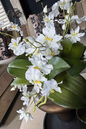 Dancing Orchids in a Smoky Bronze Glass Vase