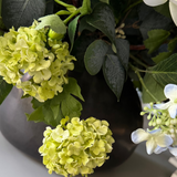 Hellebore, Hydrangea and Viburnum in a Charcoal Vase RTfact Flowers 
