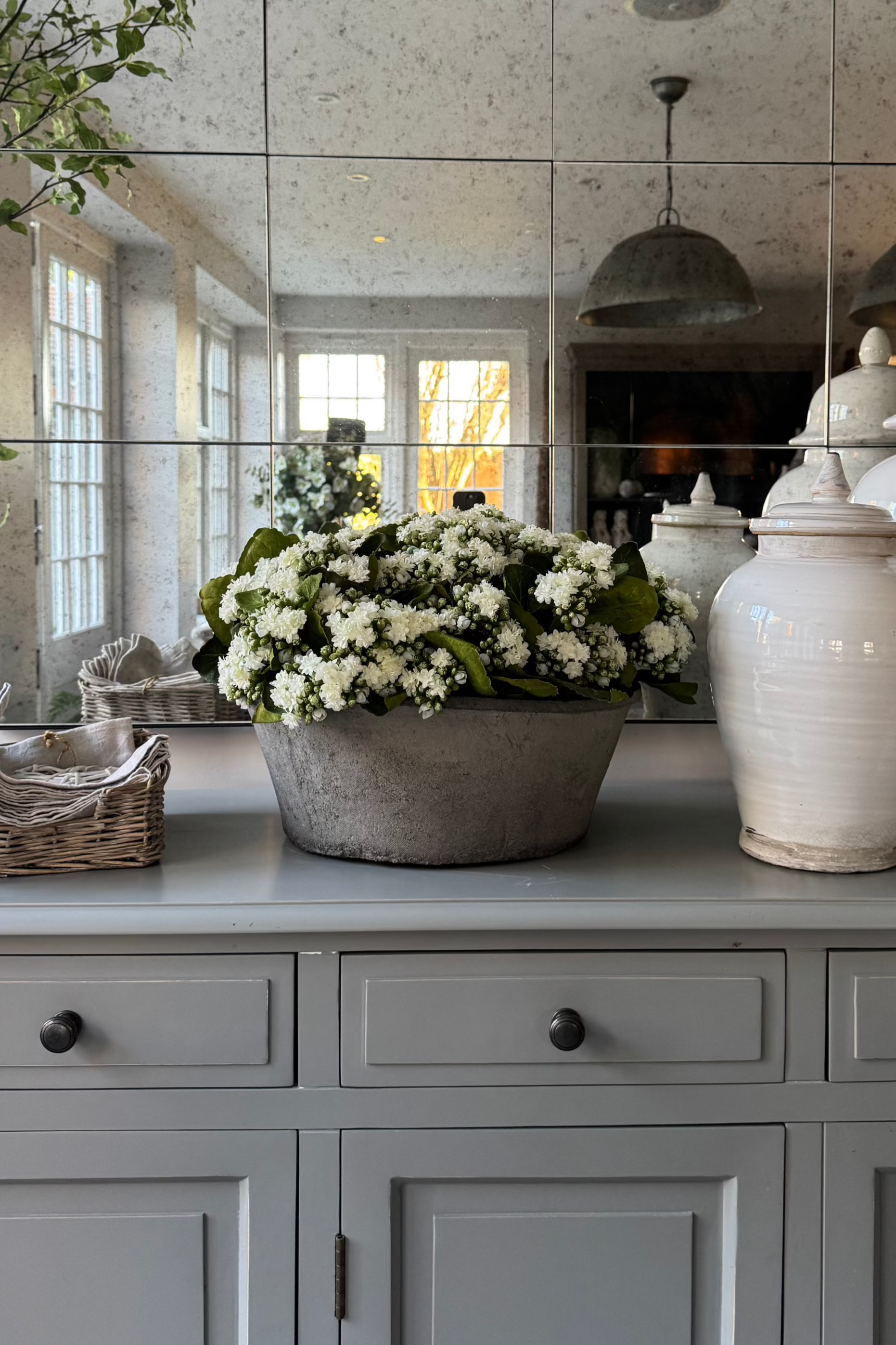 Kalanchoe Bell in a Clay Bowl RTfact Flowers 
