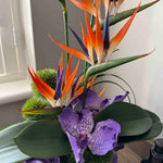 Tropical Birds of Paradise and Vanda Orchids in a Metallic Glass Vase (Small) RTfact Flowers 