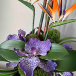 Tropical Birds of Paradise and Vanda Orchids in a Metallic Glass Vase (Large) RTfact Flowers 