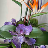 Tropical Birds of Paradise and Vanda Orchids in a Metallic Glass Vase (Large) RTfact Flowers 