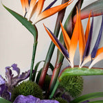 Tropical Birds of Paradise and Vanda Orchids in a Metallic Glass Vase (Large) RTfact Flowers 