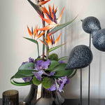 Tropical Birds of Paradise and Vanda Orchids in a Metallic Glass Vase (Large) RTfact Flowers 
