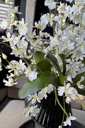Dancing Orchids in a Ribbed Black Glass Vase