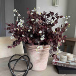 Faux Eucalyptus and Thalictrum Spray in a Terracotta Pot. Rtfact
