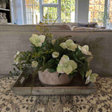 Hellebore and Ferns in a Terracotta Bowl