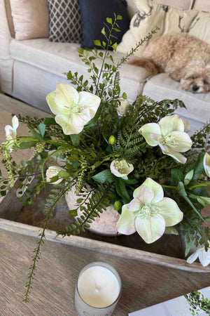 Hellebore and Ferns in a Terracotta Bowl