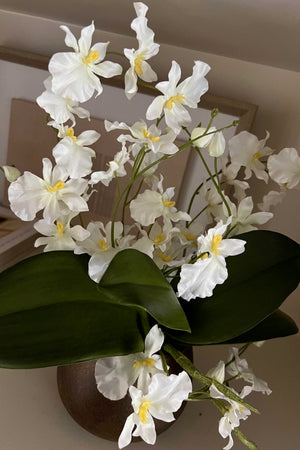 Dancing Orchids in a Round Bronze Vase