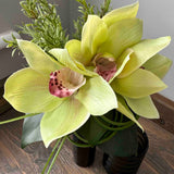 Cymbidium Orchid and Ivy Leaf in a Black Glass Cylinder (Green)