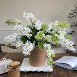 Lilac in a Terracotta Pot RTfact Flowers 