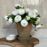 Ranunculus in an Antique Terracotta Pot RTfact Flowers 