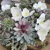 Vanda Orchids, Succulents and Watergrass in a Bronze Bowl