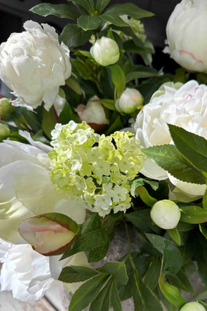 Peony, Viburnum and Bucida in a Rustic Concrete Pot