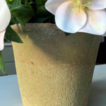Hellebores in an Antiqued Terracotta Pot (Soft Pink) RTfact Flowers 
