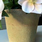 Hellebores in an Antiqued Terracotta Pot (Soft Pink) RTfact Flowers 