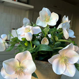 Hellebores in an Antiqued Terracotta Pot (Soft Pink) RTfact Flowers 