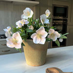 Hellebores in an Antiqued Terracotta Pot (Soft Pink) RTfact Flowers 