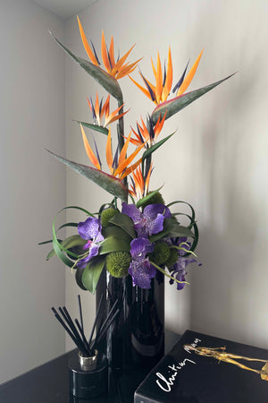Tropical Birds of Paradise in a Black Glass Cylinder RTfact Flowers 