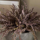 Heather in a Grey Bowl (Light Purple)