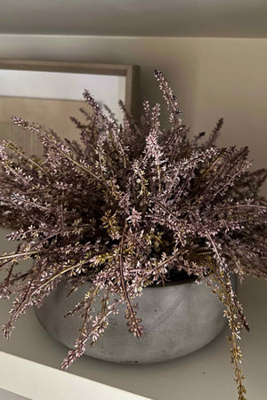 Heather in a Grey Bowl (Light Purple)