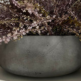 Heather in a Grey Bowl (Light Purple)