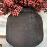 Mini Berry Bush in a Dark Brown Clay Pot