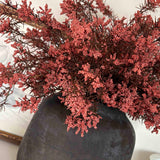 Mini Berry Bush in a Dark Brown Clay Pot