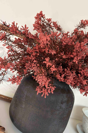 Mini Berry Bush in a Dark Brown Clay Pot