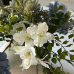 Hydrangea Spray, Maidenhair Fern and Sea Holly in a Cream Vase - TO SHOOT RTfact Flowers 