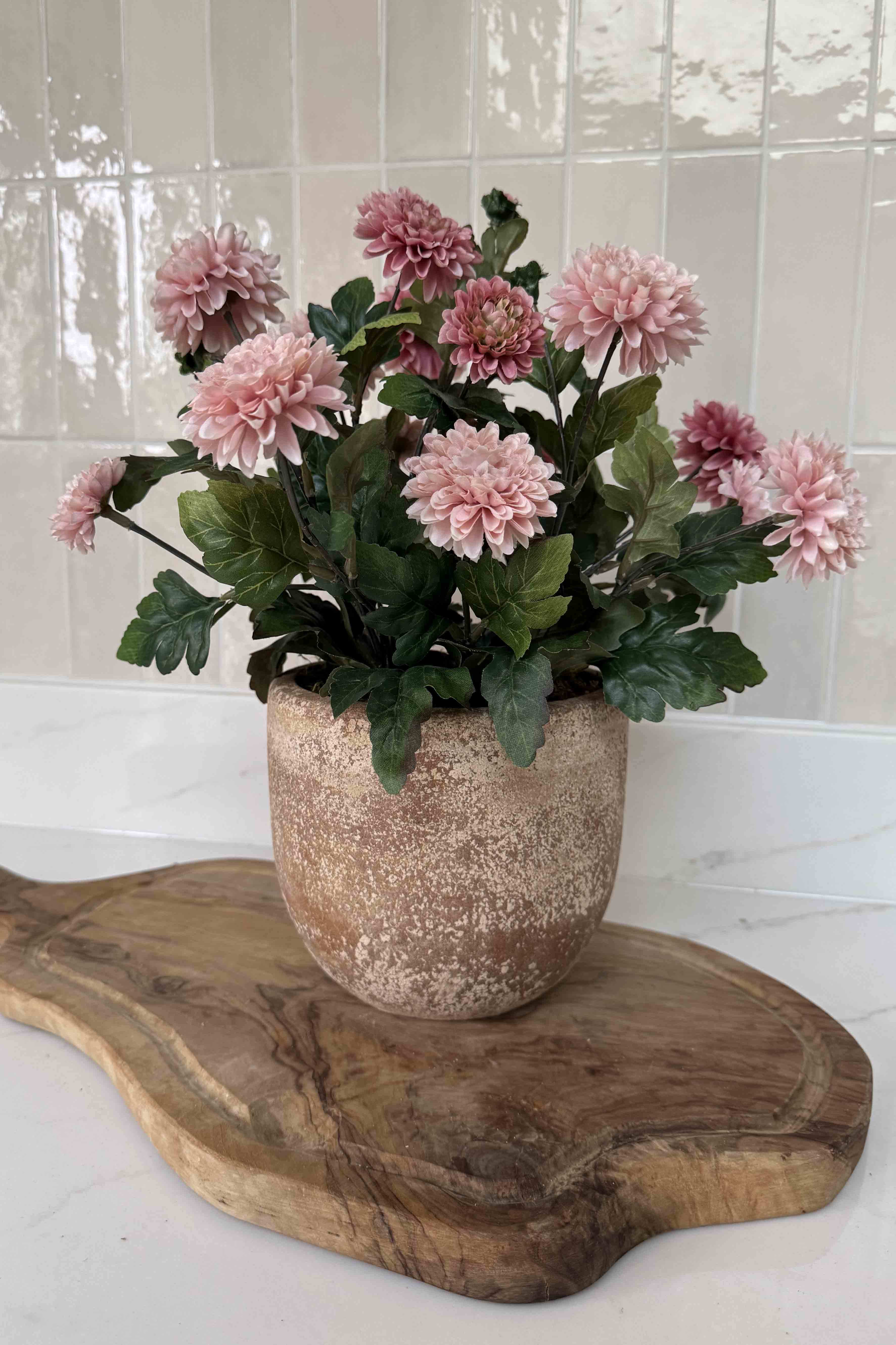 Pink Chrysanthemum in a Terracotta Pot RTfact Flowers 